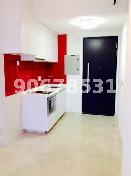 Haig 162 (D15), Condominium #63868962